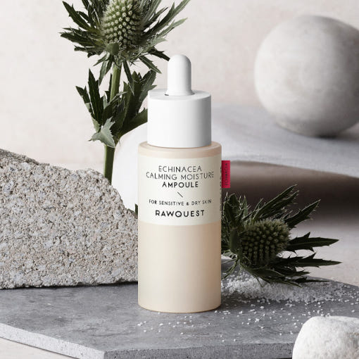ProtoClinical k-beauty RAWQUEST Echinacea Calming Moisture Ampoule 50ml shown as a dark charcoal vertical silhouette with warm beige side tones on a light background