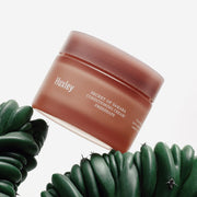 ProtoClinical k-beauty mauve beauty product silhouette with dark teal lower accents on a pale background.