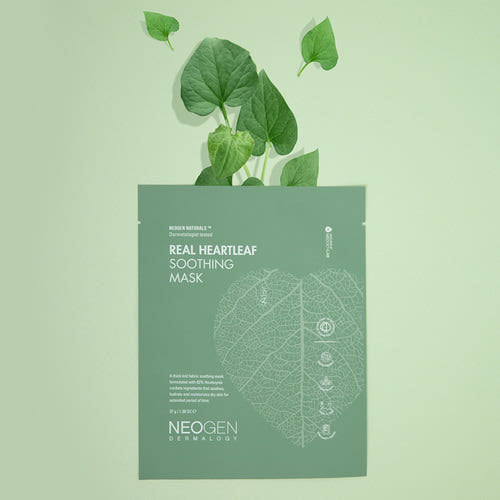 ProtoClinical k-beauty NEOGEN Dermalogy Real Heartleaf Soothing Mask 37g X 5ea single green sheet mask pack centered on a pale green background with lighter vertical side bands