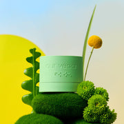 ProtoClinical k-beauty yellow, blue, and olive beauty visual on a light background.