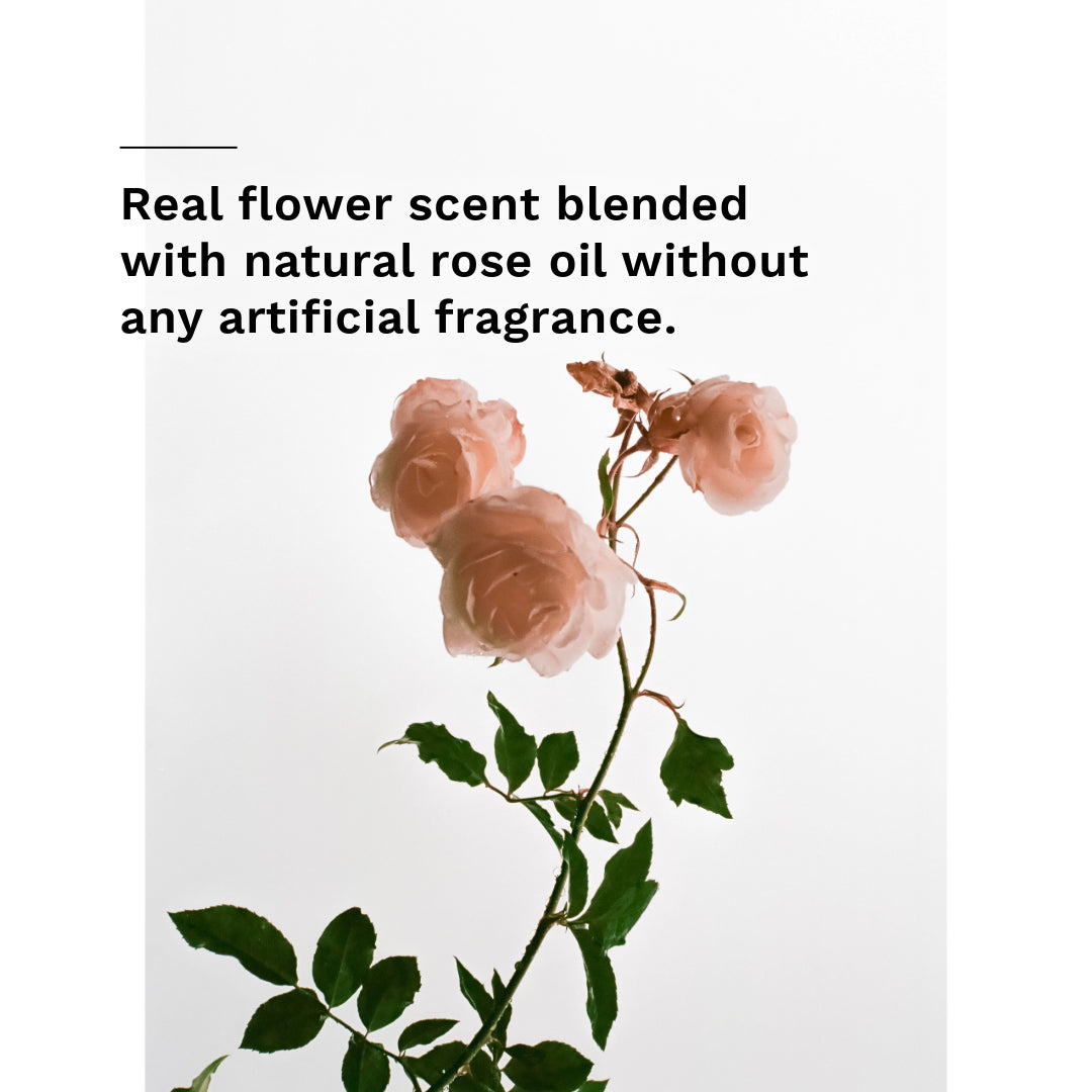 ProtoClinical k-beauty pale beige beauty graphic with a centered vertical form and pale blue side accents on a light background.