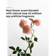 ProtoClinical k-beauty pale beige beauty graphic with a centered vertical form and pale blue side accents on a light background.
