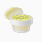 ProtoClinical k-beauty SKINFOOD Lemon Dill Butter Food Mask Lip Balm 21ml single olive lip balm package angled diagonally on a white background with soft yellow and pink shading