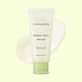 BRINGGREEN Artemisia Calming EX Water Cream 100ml