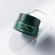 ProtoClinical k-beauty [NATURE REPUBLIC] Real Squeeze Aloe Vera Cream 50ml deep sage beauty product silhouette on a light background with soft lilac corners.