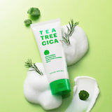 ProtoClinical k-beauty [NATURE REPUBLIC] Green Derma Tea Tree Cica Acne Foam Cleanser 150ml single upright teal cleanser tube on a light green background.