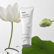 ProtoClinical k-beauty abstract beauty graphic with pale lavender, gray, and soft green blocks on a light background.