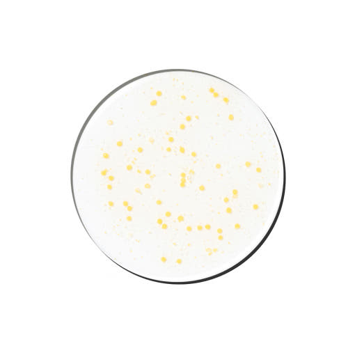 ProtoClinical k-beauty Genabelle PDRN Vita Toning Ampoule 70ml round serum swatch with yellow vitamin beads inside a clear circular pool on a white background