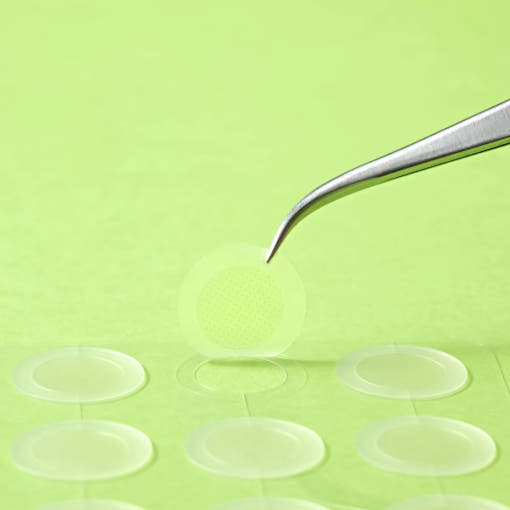ProtoClinical k-beauty light green beauty package centered on a clean white background.