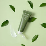ProtoClinical k-beauty pale green beauty graphic with a darker olive vertical center on a light green background.