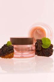 ProtoClinical k-beauty HEVEBLUE Chaga Cica Exosome Derma Coating Balm 55g translucent pink balm jar with a brown lid beside dark chaga pieces and green leaves on a pale background