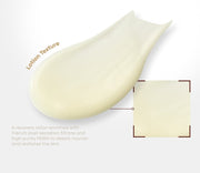 ProtoClinical k-beauty pale gold beauty product silhouette on a light background.