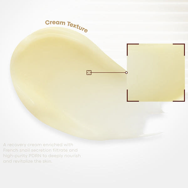 TONYMOLY Snail PDRN Recovery Cream 50ml – Protoclinical