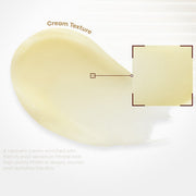 ProtoClinical k-beauty TONYMOLY Snail PDRN Recovery Cream 50ml tan skincare packaging with layered cream panels on a pale beige background
